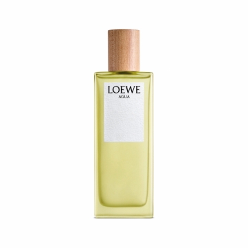 loewe agua edt 100ml   unisex   testerbox