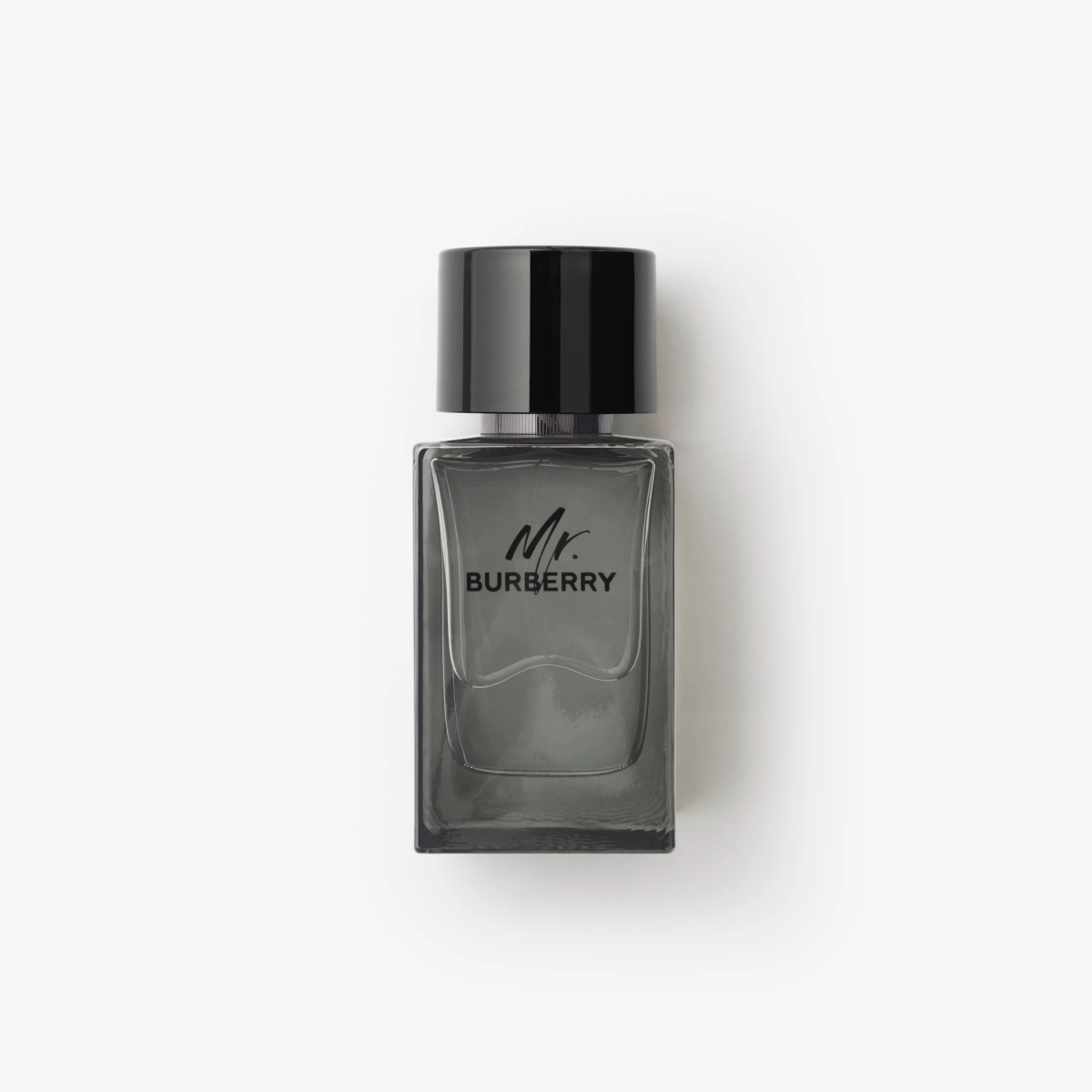 burberry mr  burberry edt 100ml