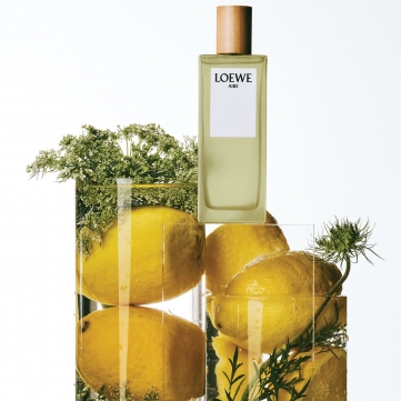 loewe aire edt 100ml   woman   testerbox