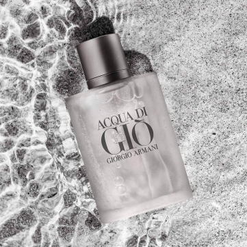 giorgio armani acqua di gio edt 100ml