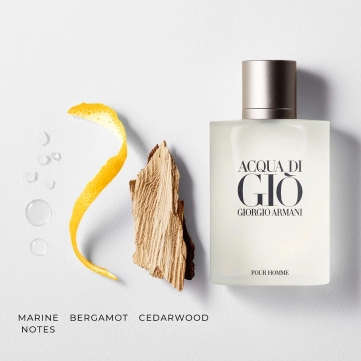 giorgio armani acqua di gio edt 100ml