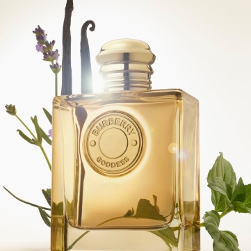 burberry goddess edp intense 100ml