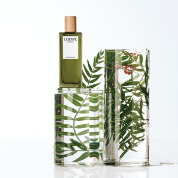 loewe esencia pour homme edp 100ml